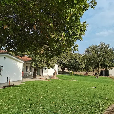 Regia 4* 아바산타